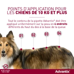 Advantix Chien Moyen 10-25Kg -Magasin De Fournitures Pour Chiens De Compagnie advantix point d application grands chiens