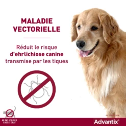 Bayer Advantix Grand Chien 25-40Kg -Magasin De Fournitures Pour Chiens De Compagnie advantix r duit le risque de maladies vectorielles
