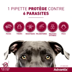 Advantix Chien Moyen 10-25Kg -Magasin De Fournitures Pour Chiens De Compagnie advantix spectre de protection 1