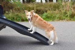 Flamingo Rampe Chien Pliante En Plastique 150x39,5x13 -Magasin De Fournitures Pour Chiens De Compagnie afd13099f3486cf54e9ef19eb06f2dd5e8c0e5ae0d4f8b7e284c3b461515fa17