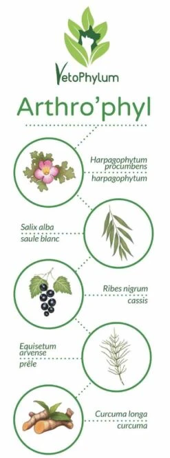 Arthro'Phyl -Magasin De Fournitures Pour Chiens De Compagnie arthrophyl4