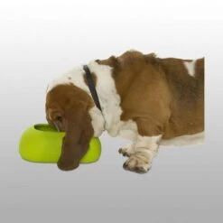 Buster Gamelle Incredibowl -Magasin De Fournitures Pour Chiens De Compagnie b7db7eb0627be48e1161fb24e8121baeec2f2b6161bf624f19777e80bde9c2c9