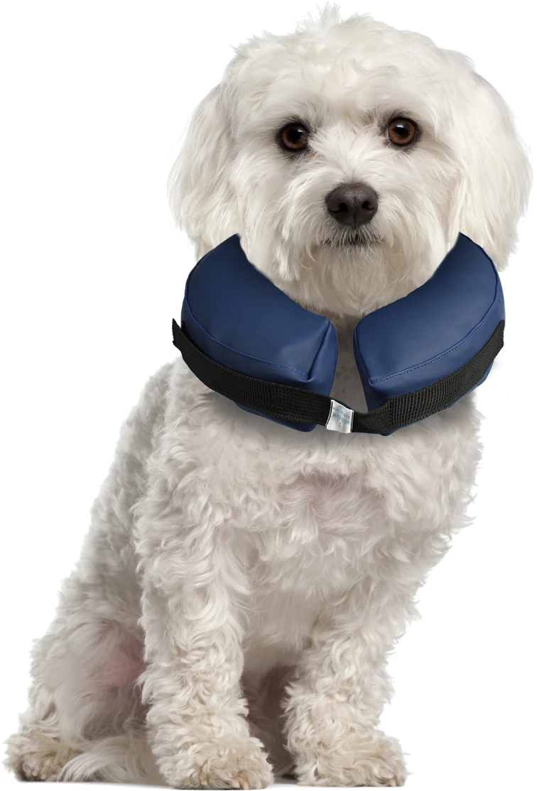 Flamingo Collier Gonflable Pour Chiens Gofi S 5 Flamingo Collier Gonflable Pour Chiens Gofi S – Image 5