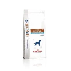 Royal Canin Gastro Intestinal Moderate Calorie Chien 5 Royal Canin Gastro Intestinal Moderate Calorie Chien -Magasin De Fournitures Pour Chiens De Compagnie c96be46b08946a606f224303102df65abfaed4d03ddb9e5c7287ed64f3014855