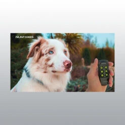 Collier De Dressage Canicom Voice NUM'AXES -Magasin De Fournitures Pour Chiens De Compagnie collier dressage canicom voice4