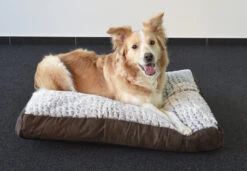 Flamingo Coussin Snoozzy Rectangulaire Fermeture Eclair Brun 80x55x10cm -Magasin De Fournitures Pour Chiens De Compagnie ddebe20b0518f8cb1ab97d70c10ffd70611da800dd60a449d444ba58ea18165f