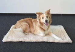 Flamingo Coussin Zupo Plat Rectangulaire Gris 100,5x63x2cm -Magasin De Fournitures Pour Chiens De Compagnie de5c5c4b160eef4ebe924dd58e302b4a4f13be5b0e2b05e1751b339ca6f7eb58