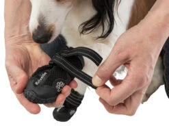 Trixie Chaussures De Protection Walker Active / L 2pcs. -Magasin De Fournitures Pour Chiens De Compagnie e08062450bd8a32b408258fb4c31ff7f7447657b0f4f3fa1ecca0f8550d45313