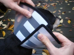 Flamingo Carcan Capo 31,5cm -Magasin De Fournitures Pour Chiens De Compagnie e2578f0de7dfac1a438fa05f0c616aa46fff5514395f242304922963edc56053