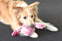 Flamingo Jouet Chien Peluche Andes Flamant Rose 36cm 6 Flamingo Jouet Chien Peluche Andes Flamant Rose 36cm -Magasin De Fournitures Pour Chiens De Compagnie ed2d50211e2888730dfb561c12fb49e3b6842b0562aadf2de2065d6f320fa5c3