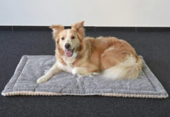 Flamingo Coussin Zupo Plat Rectangulaire Gris 100,5x63x2cm -Magasin De Fournitures Pour Chiens De Compagnie ed981943eaed3c8161e97a32c795c87794e26981df13a2dc04c0858f21b9fedd