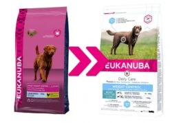 EUKANUBA EUK DC WEIGHT CONTROL L DOG 15KG -Magasin De Fournitures Pour Chiens De Compagnie eukanuba daily care large weight control 15kg change 1 1