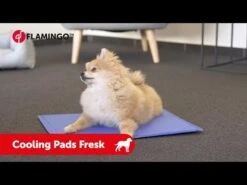 Flamingo Tapis Rafraîchissant Fresk - L (90x50cm) -Magasin De Fournitures Pour Chiens De Compagnie hqdefault 5 2