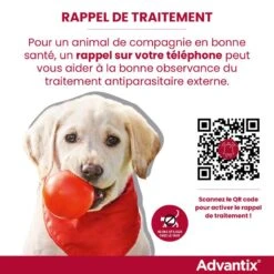 Advantix Chien Moyen 10-25Kg -Magasin De Fournitures Pour Chiens De Compagnie rappel traitement advantix FR 4