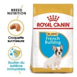 Royal Canin French Bulldog Chiot Pour Chien 10kg -Magasin De Fournitures Pour Chiens De Compagnie royal canin bouledogue francais puppy bouledogue francais junior 1