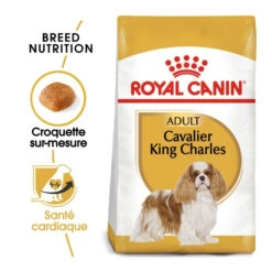 Royal Canin Cavalier King Charles Adult Pour Chien 7,5kg -Magasin De Fournitures Pour Chiens De Compagnie royal canin cavalier king charles adult cavalier king charles 1