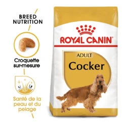 Royal Canin Cocker Adult Pour Chien 12kg -Magasin De Fournitures Pour Chiens De Compagnie royal canin cocker adult cocker 1 1