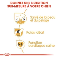 Royal Canin Cocker Adult Pour Chien 12kg -Magasin De Fournitures Pour Chiens De Compagnie royal canin cocker adult cocker 2 1