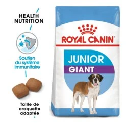 Royal Canin Giant Junior Pour Chien 15kg -Magasin De Fournitures Pour Chiens De Compagnie royal canin giant junior giant junior 1