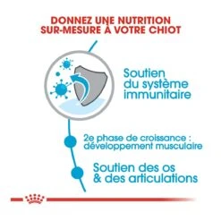 Royal Canin Giant Junior Pour Chien 15kg -Magasin De Fournitures Pour Chiens De Compagnie royal canin giant junior giant junior 2