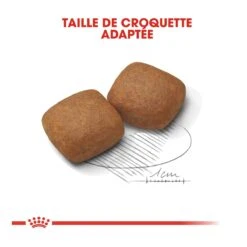 Royal Canin Giant Junior Pour Chien 15kg -Magasin De Fournitures Pour Chiens De Compagnie royal canin giant junior giant junior 3