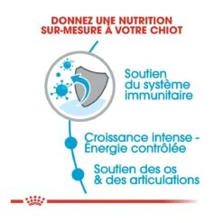 Royal Canin Giant Puppy Pour Chien - 15kg -Magasin De Fournitures Pour Chiens De Compagnie royal canin giant puppy giant puppy 2