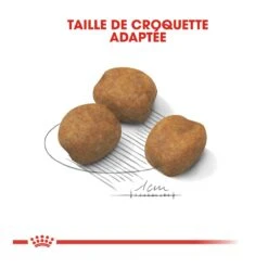 Royal Canin Giant Puppy Pour Chien - 15kg -Magasin De Fournitures Pour Chiens De Compagnie royal canin giant puppy giant puppy 3