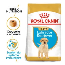 Royal Canin Labrador Retriever Chiot Pour Chien 12kg -Magasin De Fournitures Pour Chiens De Compagnie royal canin labrador retriever puppy labrador retriever junior 1