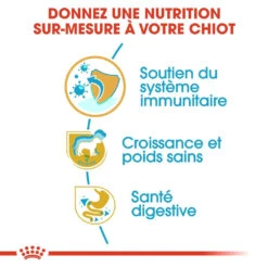 Royal Canin Labrador Retriever Chiot Pour Chien 3kg -Magasin De Fournitures Pour Chiens De Compagnie royal canin labrador retriever puppy labrador retriever junior 2 1