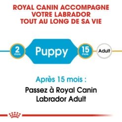Royal Canin Labrador Retriever Chiot Pour Chien 12kg -Magasin De Fournitures Pour Chiens De Compagnie royal canin labrador retriever puppy labrador retriever junior 3