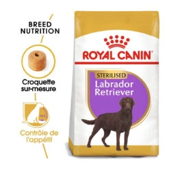 Royal Canin Labrador Retriever Sterilised Adult - 12Kg -Magasin De Fournitures Pour Chiens De Compagnie royal canin labrador retriever sterilised adult croquettes pour chien labrador retriever sterilised adult 1