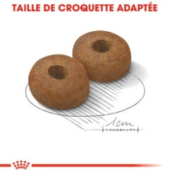 Royal Canin Maxi Ageing 8+ Pour Chien 15kg -Magasin De Fournitures Pour Chiens De Compagnie royal canin maxi ageing croquettes pour chien maxi ageing 2