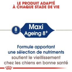 Royal Canin Maxi Ageing 8+ Pour Chien 15kg -Magasin De Fournitures Pour Chiens De Compagnie royal canin maxi ageing croquettes pour chien maxi ageing 3