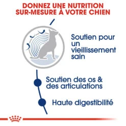 Royal Canin Maxi Ageing 8+ Pour Chien 15kg -Magasin De Fournitures Pour Chiens De Compagnie royal canin maxi ageing croquettes pour chien maxi ageing 4