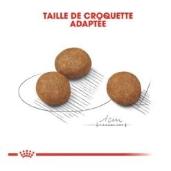 Royal Canin Maxi Chiot Pour Chien 10kg -Magasin De Fournitures Pour Chiens De Compagnie royal canin maxi puppy croquettes pour chiot maxi puppy 3