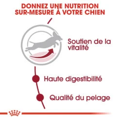 Royal Canin Medium Adult 7+ Pour Chien 15kg -Magasin De Fournitures Pour Chiens De Compagnie royal canin medium adult medium adult 2