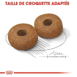 Royal Canin Medium Ageing 10+ Pour Chien 15kg -Magasin De Fournitures Pour Chiens De Compagnie royal canin medium ageing medium ageing 2