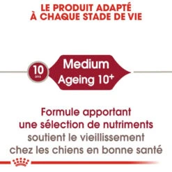 Royal Canin Medium Ageing 10+ Pour Chien 15kg -Magasin De Fournitures Pour Chiens De Compagnie royal canin medium ageing medium ageing 3
