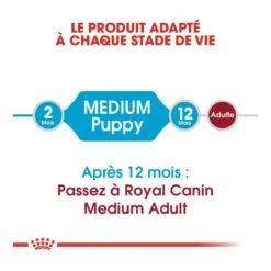 Royal Canin Medium Junior Pour Chien -Magasin De Fournitures Pour Chiens De Compagnie royal canin medium puppy croquettes pour chiot medium puppy 2 1