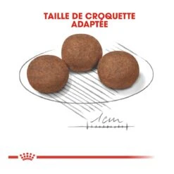 Royal Canin Medium Junior Pour Chien -Magasin De Fournitures Pour Chiens De Compagnie royal canin medium puppy croquettes pour chiot medium puppy 4 1