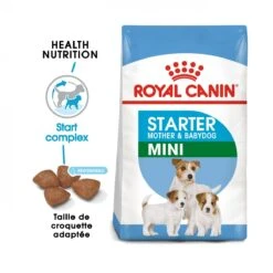 Royal Canin Mini Starter Mother & Babydog - 8Kg -Magasin De Fournitures Pour Chiens De Compagnie royal canin mini starter mini starter 1
