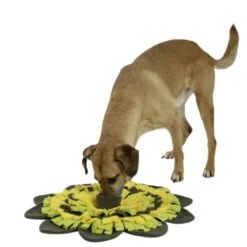 Tapis à  Renifler Sunflower -Magasin De Fournitures Pour Chiens De Compagnie tapis a renifler sunflower3 1