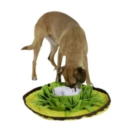 Tapis à Renifler Bowl -Magasin De Fournitures Pour Chiens De Compagnie tapis a renifler bowl4 1