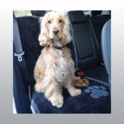 Magasin De Fournitures Pour Chiens De Compagnie -Magasin De Fournitures Pour Chiens De Compagnie tapis protection siege voiture